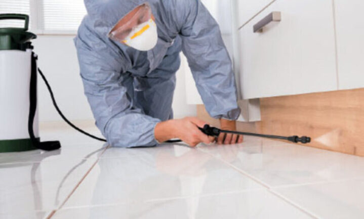 Termite control for resorts