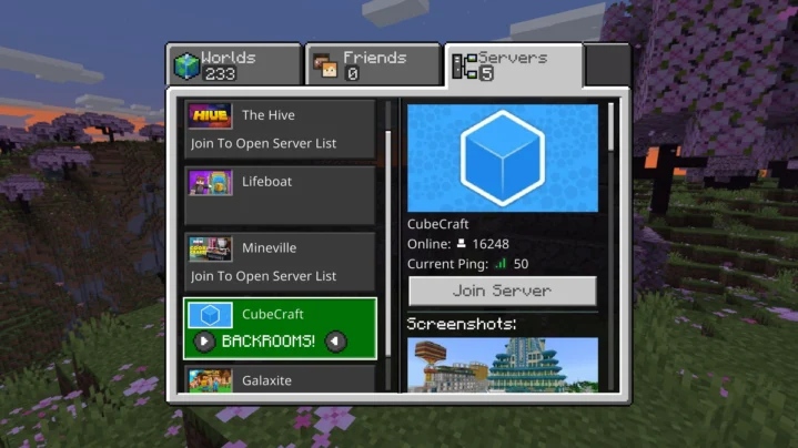 Minecraft server