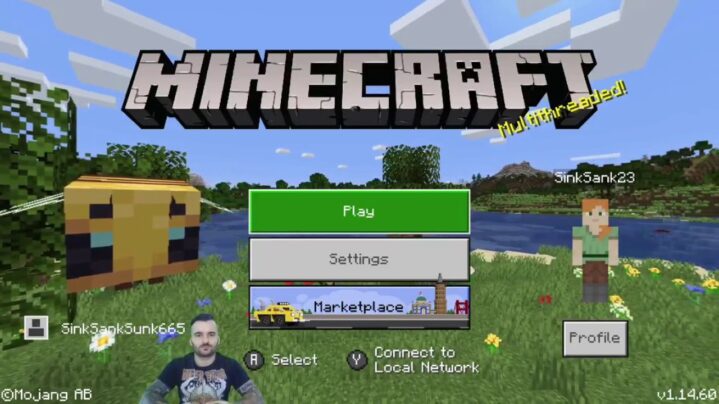 Playing minecraft online